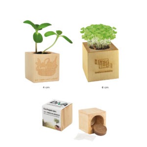 Pot en bois, en liège ou carton avec graines à planter – Compléments d'image